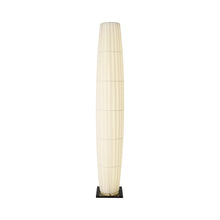 Load image into Gallery viewer, Colonne LED Floor Lamp in Black.