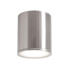 Load image into Gallery viewer, Everly Outdoor LED Flush Mount Ceiling Light in Satin Nickel (Small).