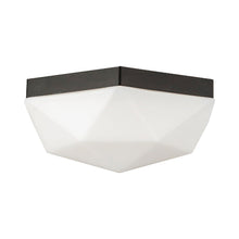 Load image into Gallery viewer, Krysta Flush Mount Ceiling Light in Detail.