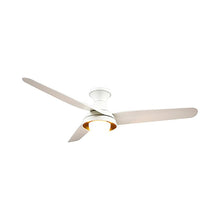 Load image into Gallery viewer, Rubio LED Flush Mount Ceiling Fan in Detail.