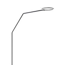 Load image into Gallery viewer, Vine LED Floor Lamp in Detail.