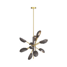 Load image into Gallery viewer, Bryce Chandelier.