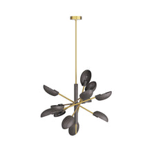 Load image into Gallery viewer, Bryce Chandelier in Detail.