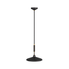 Load image into Gallery viewer, Bryson LED Pendant Light.