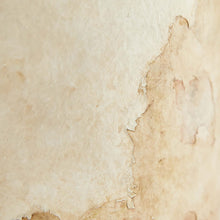 Load image into Gallery viewer, Samala Table Lamp in Detail.
