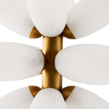 Load image into Gallery viewer, Starling Chandelier in Detail.