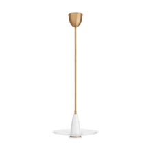 Load image into Gallery viewer, Vasili LED Flush Mount Ceiling Light.