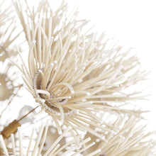 Load image into Gallery viewer, Winona Chandelier in Detail.