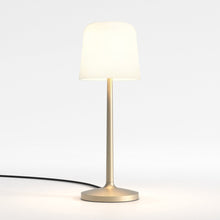 Load image into Gallery viewer, Ella Table Lamp in Detail.