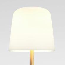Load image into Gallery viewer, Ella Table Lamp in Detail.