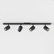 Load image into Gallery viewer, Koto Spot Light in Detail.