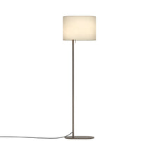 Load image into Gallery viewer, Venn Floor Lamp in Bronze.