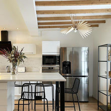 Load image into Gallery viewer, Albatros Pendant Light in kitchen.