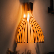 Load image into Gallery viewer, Ariel Wall Light in living room.