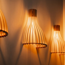 Load image into Gallery viewer, Ariel Wall Light in Detail.