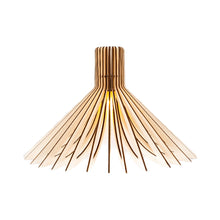 Load image into Gallery viewer, Ava Wall Light.