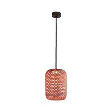 Load image into Gallery viewer, Nans Outdoor LED Pendant Light.