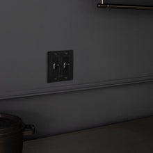 Load image into Gallery viewer, 2G Toggle Switch in Detail.