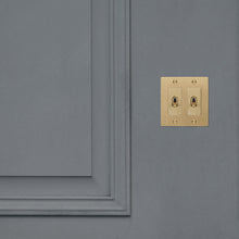 Load image into Gallery viewer, 2G Toggle Switch in Detail.