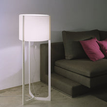 Load image into Gallery viewer, Nirvana Floor Lamp in living room.
