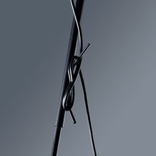 Load image into Gallery viewer, Robin Floor Lamp in Detail.