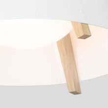 Load image into Gallery viewer, Casia LED Flush Mount Ceiling Light in Detail.
