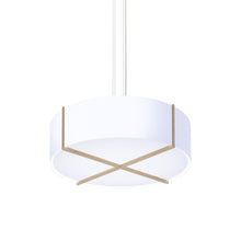 Load image into Gallery viewer, Plura LED Pendant Light in White Washed Oak/Glossy White (46-Inch).