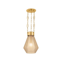 Load image into Gallery viewer, Tragus Pendant Light (14-Inch).