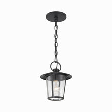 Load image into Gallery viewer, Andover Outdoor Pendant Light in Detail.