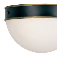 Load image into Gallery viewer, Capsule Outdoor Flush Mount Ceiling Light in Detail.