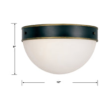 Load image into Gallery viewer, Capsule Outdoor Flush Mount Ceiling Light - line drawing.