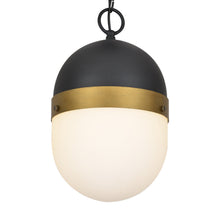 Load image into Gallery viewer, Capsule Outdoor Pendant Light in Detail.