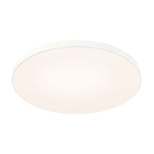 Load image into Gallery viewer, Fusion LED Flush Mount Ceiling Light (21-Inch).