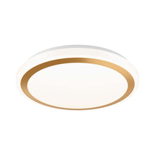 Load image into Gallery viewer, Ora LED Flush Mount Ceiling Light in Gold.