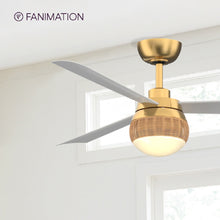 Load image into Gallery viewer, Paget Indoor / Outdoor LED Ceiling Fan in Detail.