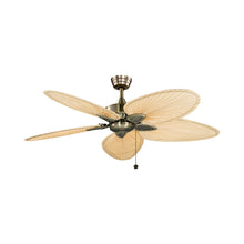 Load image into Gallery viewer, Windpointe Indoor Ceiling Fan.