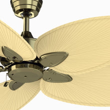 Load image into Gallery viewer, Windpointe Indoor Ceiling Fan in Detail.