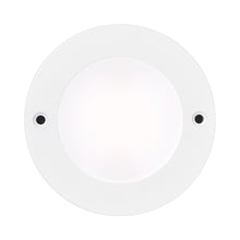 Load image into Gallery viewer, Disk Light 3W 12V 180 lumens 3000K 90 CRI LED Bulb in White.