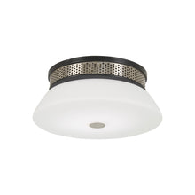 Load image into Gallery viewer, Tauten LED Flush Mount Ceiling Light (Small).