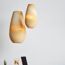 Load image into Gallery viewer, Drop Pendant Light in room.