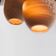 Load image into Gallery viewer, Drop Pendant Light in Detail.