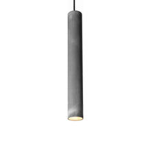 Load image into Gallery viewer, Roest Pendant Light in Zinc (17.75-Inch).