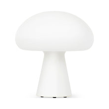 Load image into Gallery viewer, Obello LED Table Lamp.