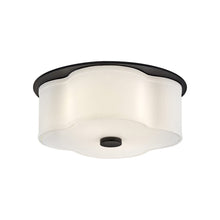 Load image into Gallery viewer, Delaney Flush Mount Ceiling Light in Black (2-Light).