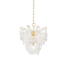 Load image into Gallery viewer, Darcia Chandelier (5-Light).