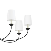 Load image into Gallery viewer, Montpelier Chandelier in Detail.