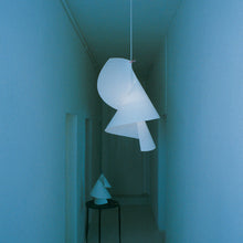 Load image into Gallery viewer, Willydilly Pendant Light in hallway.