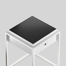 Load image into Gallery viewer, Qua Outdoor LED Solar Portable Table Lamp in Detail.
