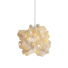 Load image into Gallery viewer, Barnacle Pendant Light (Small).