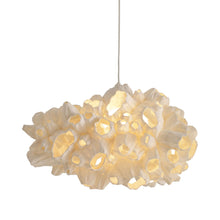 Load image into Gallery viewer, Barnacle Pendant Light (Large).